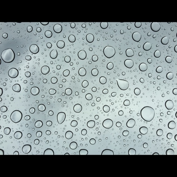 Meet your Posher, Kristin