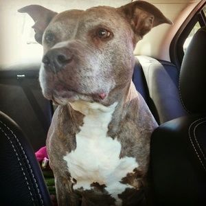 Meet your Posher, Tamara