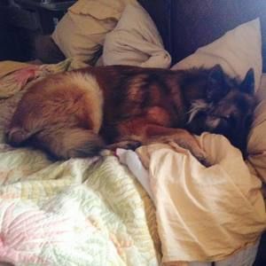 Meet your Posher, Andre