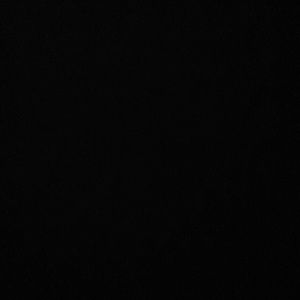 Meet your Posher, Anne