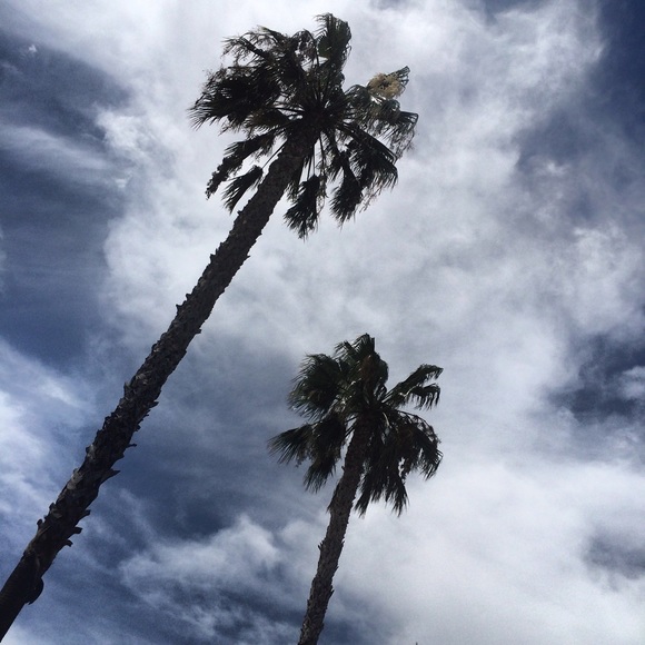 Meet your Posher, Belle