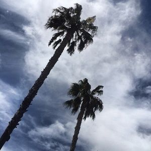 Meet your Posher, Belle