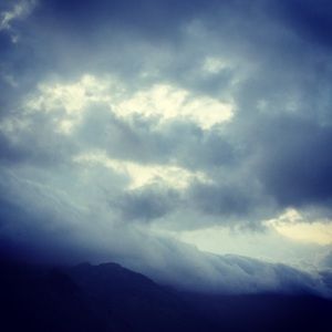 Meet your Posher, Liz