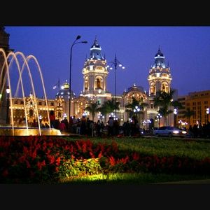 Meet your Posher, Patricia