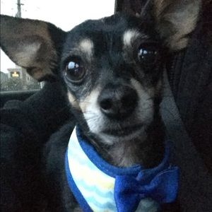 Meet your Posher, Erin