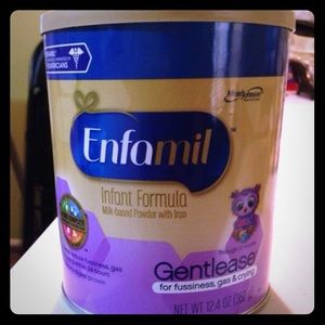 Milk based powered with iron