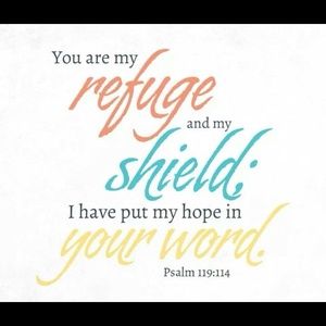 Meet your Posher, Trinity