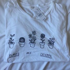 Rare Brandy Melville plants are friends