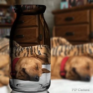 Meet your Posher, Kristina