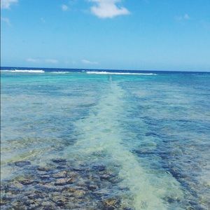 Meet your Posher, Kalena