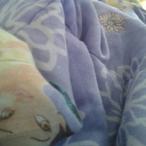 Meet your Posher, Mariah