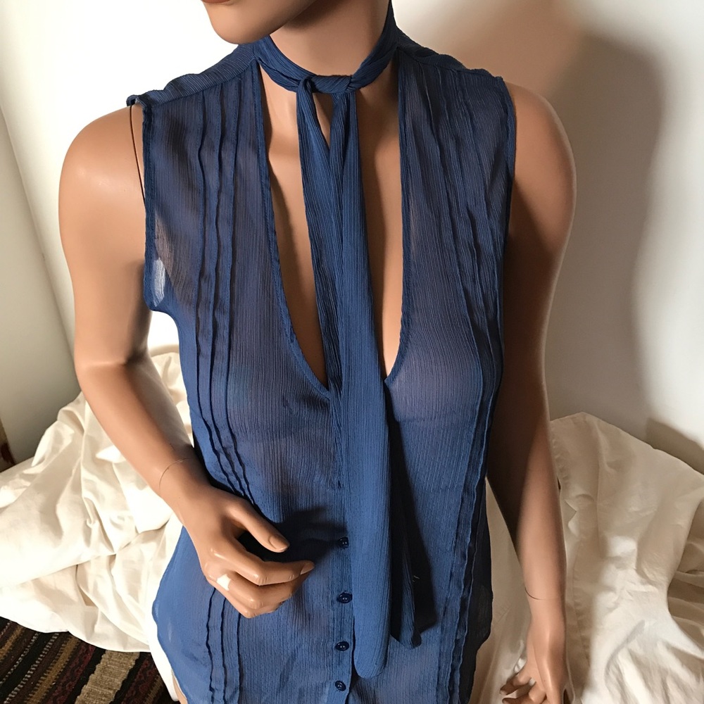 Sheer BCBG Blouse