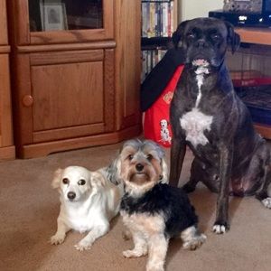 Meet your Posher, Jackie