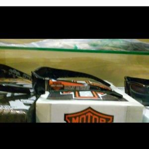 Harley Davidson Sunglasses NWT