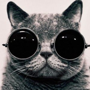 Meet your Posher, Sean