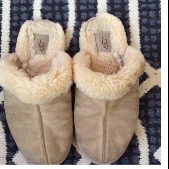 Ugg slippers!