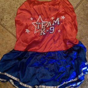 Cheerleader dog costume