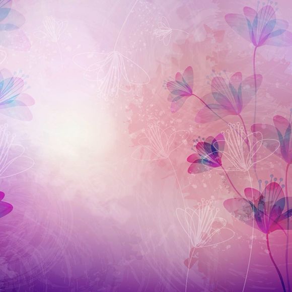 Meet your Posher, Shiraz - Picture 1 of 1