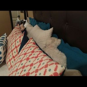 Meet your Posher, Eden