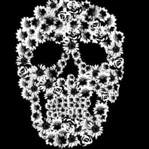 Meet your Posher, Apple