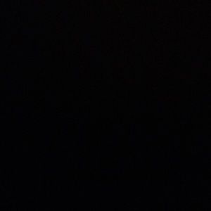 Meet your Posher, Susanna