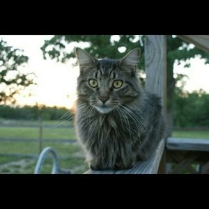 Meet your Posher, Maria