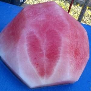 Meet your Posher, Marlon