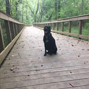 Meet your Posher, Carissa