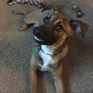 Meet your Posher, John