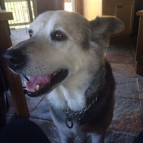 Meet your Posher, Cindy - Picture 4 of 4