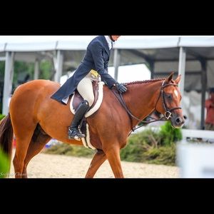 Meet your Posher, Abigail