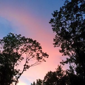 Meet your Posher, Dakota