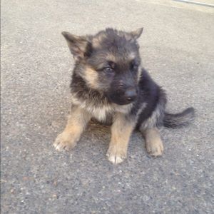 Meet your Posher, Aj