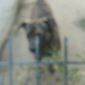 Meet your Posher, Eduardo