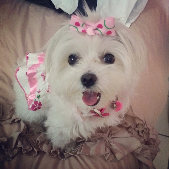 Meet your seller! ☺️🎉 - Picture 2 of 4