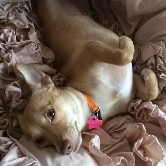 Meet your seller! ☺️🎉 - Picture 3 of 4