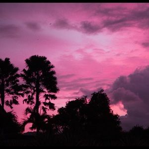 Meet your Posher, Anaya