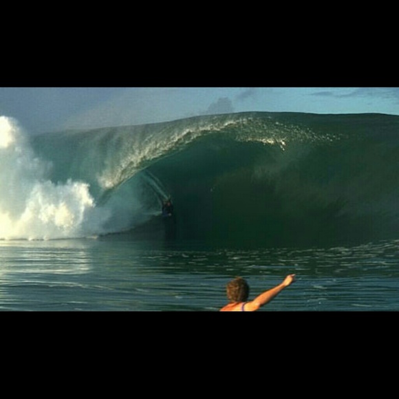 Meet your posher! - Picture 3 of 3