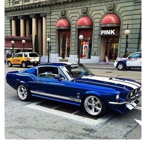 Meet your Posher, Cody