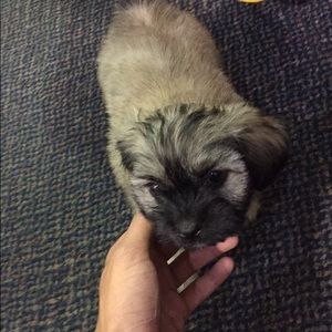 Meet your Posher, Shivam