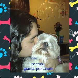 Meet your Posher, Luisa