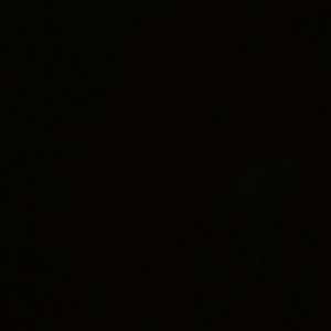 Meet your Posher, Cat