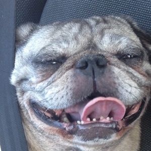 Meet your Posher, Katherine