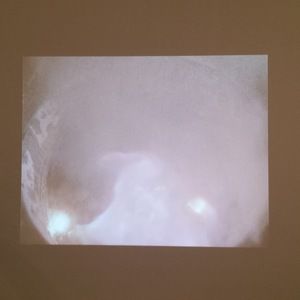 Meet your Posher, Anne