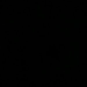 Meet your Posher, Larry