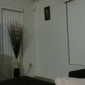 Meet your Posher, Clara