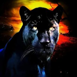 Meet your Posher, Kenneth