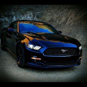 Meet your Posher, Joe