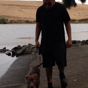 Meet your Posher, Hugo