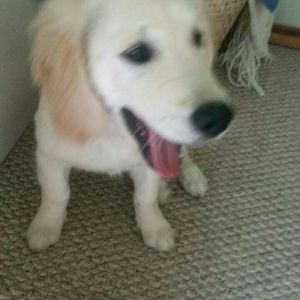 Meet your Posher, Elly